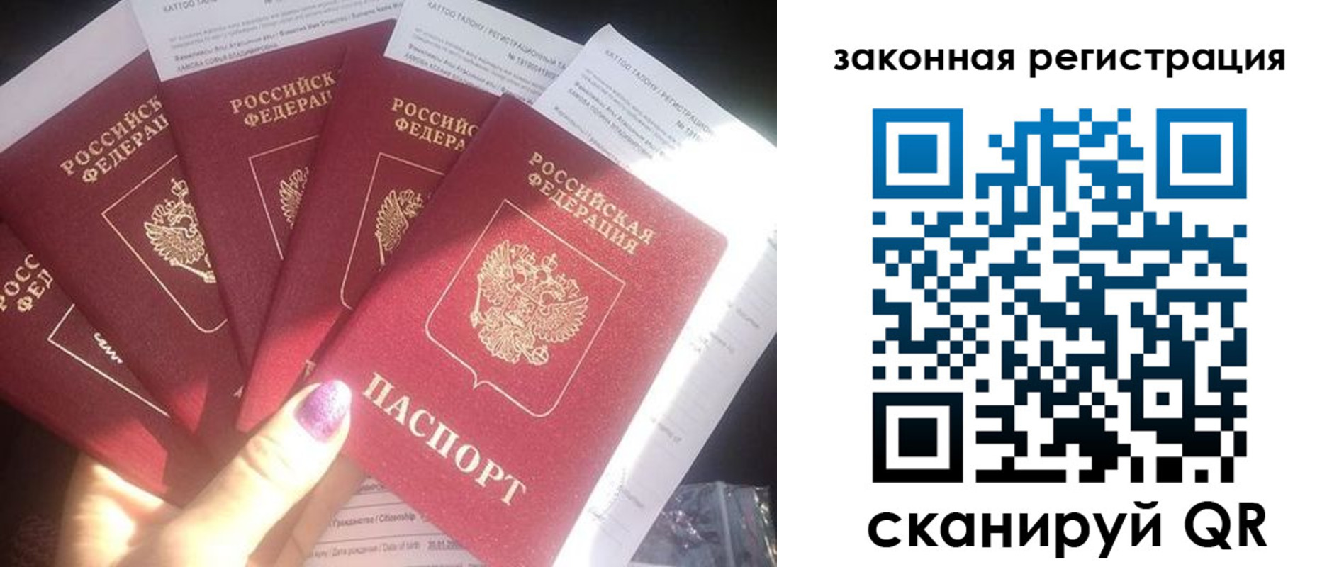 временная регистрация гарантия в Шилке